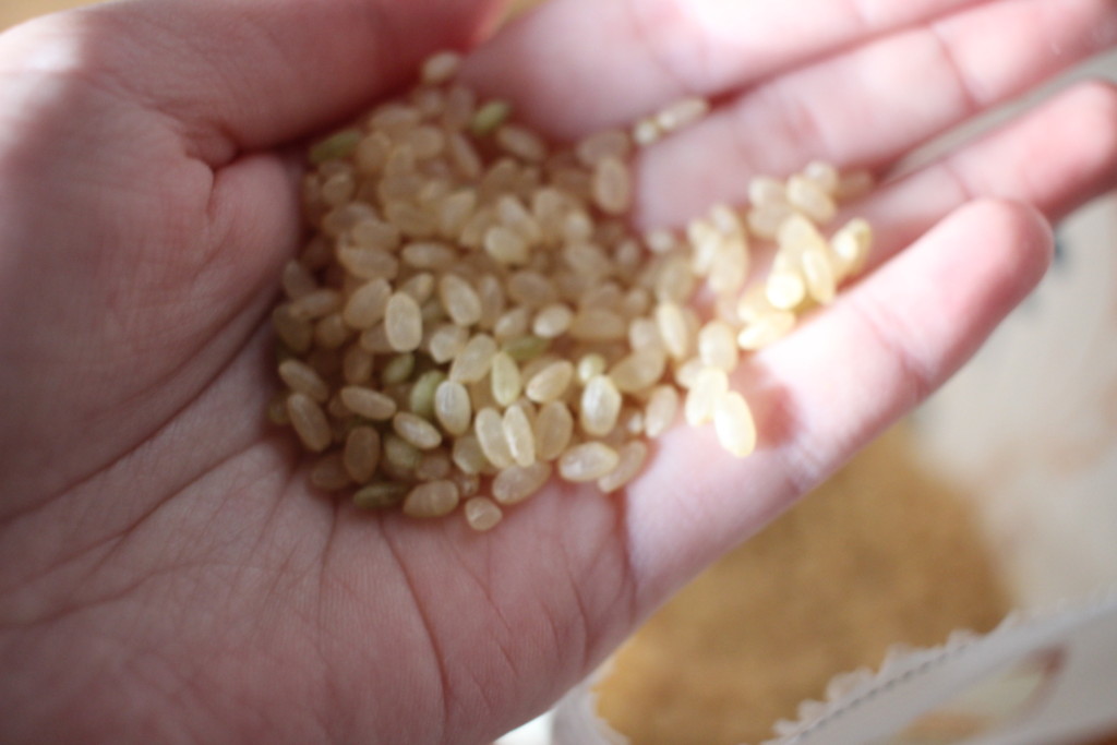 そもそも発芽米ってどんなお米？白米との違いは？