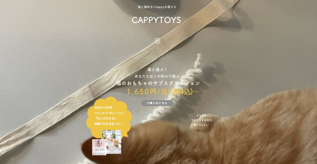 ①コスパ重視な猫のおもちゃサブスクなら「CAPPY TOYS」