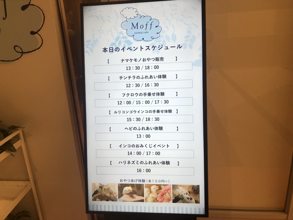 Moff animal Cafe （モフアニマルカフェ）ららぽーと福岡店はイベントも必見！
