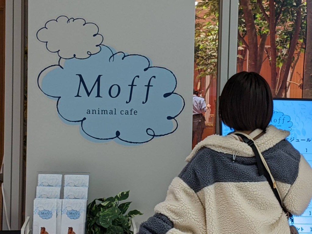 Moff animal Cafe （モフアニマルカフェ）ららぽーと福岡店とは、どんなお店？