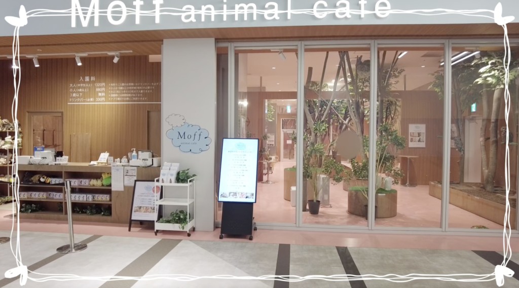Moff animal Cafe （モフアニマルカフェ）ららぽーと福岡店へ行ってきた！