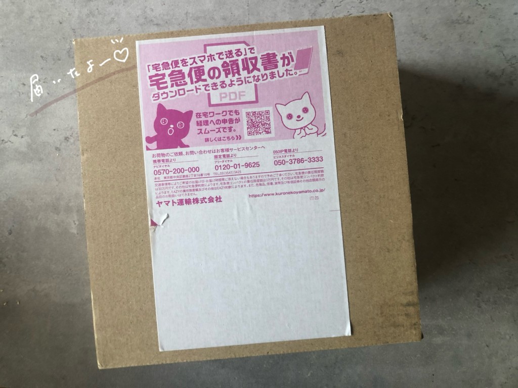 2026年「Zoff」のメガネ券つき福袋を開封