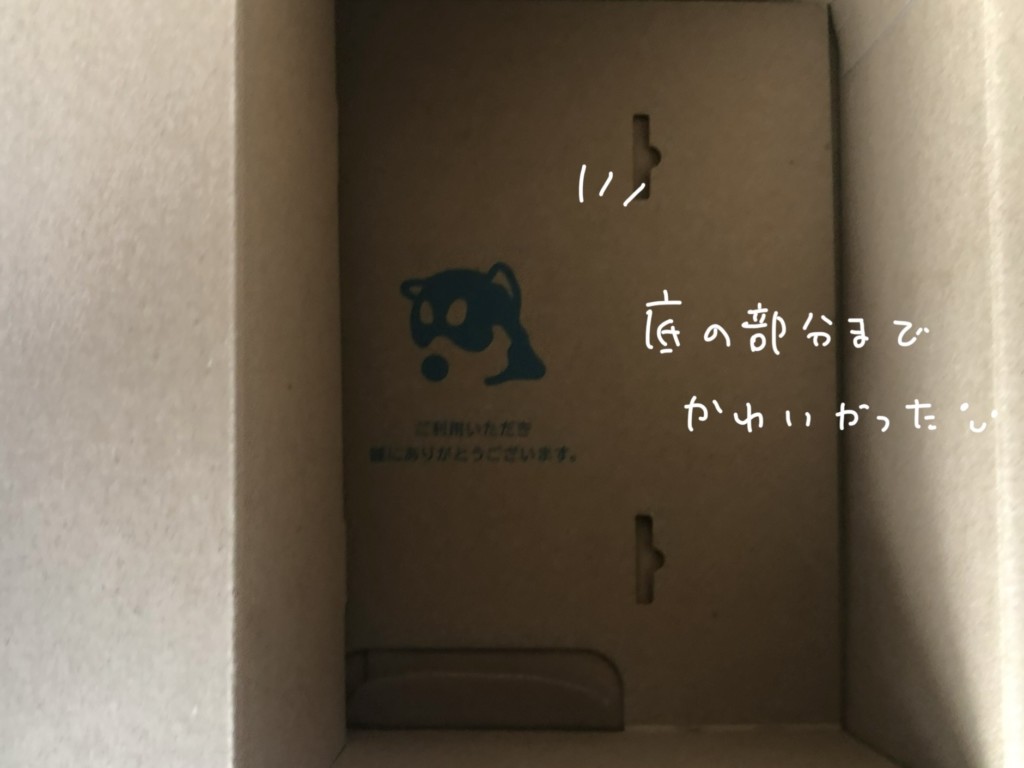 2026年「Zoff」のメガネ券つき福袋は中身のわかるおすすめ福袋