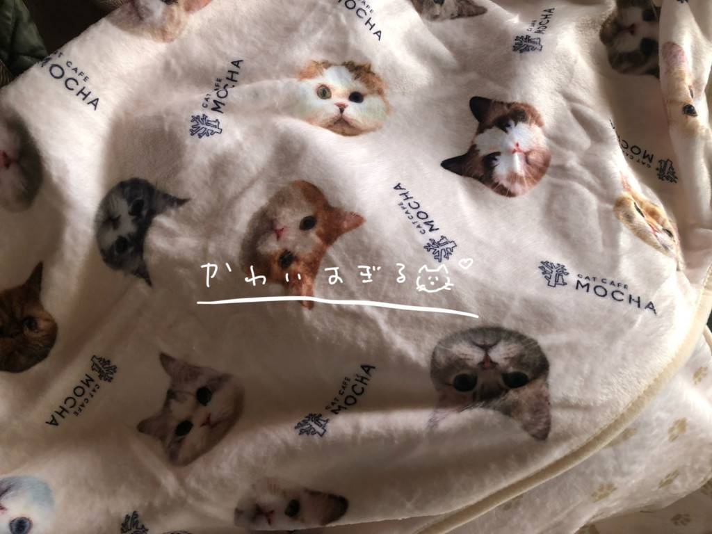【2026年】猫カフェMOCHAの福袋の中身が可愛過ぎた②ブランケット