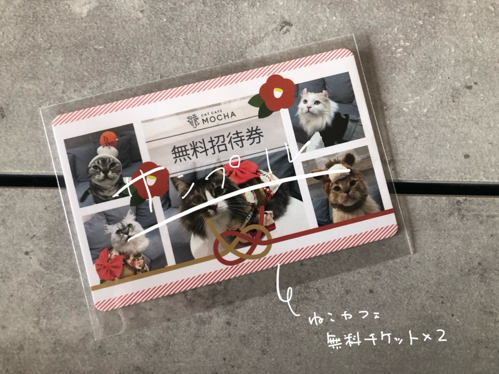 【2026年】猫カフェMOCHAの福袋の中身が可愛過ぎた③無料招待券